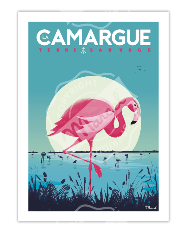 Affiche LA CAMARGUE Flamingos
