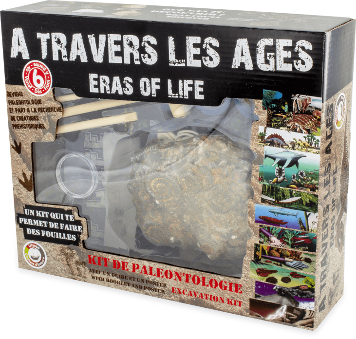 Kit Paléontologie • À travers les âges + 6 ans • Ulysse