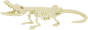 Kit Paléontologie • Crocodile + 6 ans • Ulysse