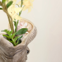 Vase hippopotame • Hungry Hippo • Donkey products